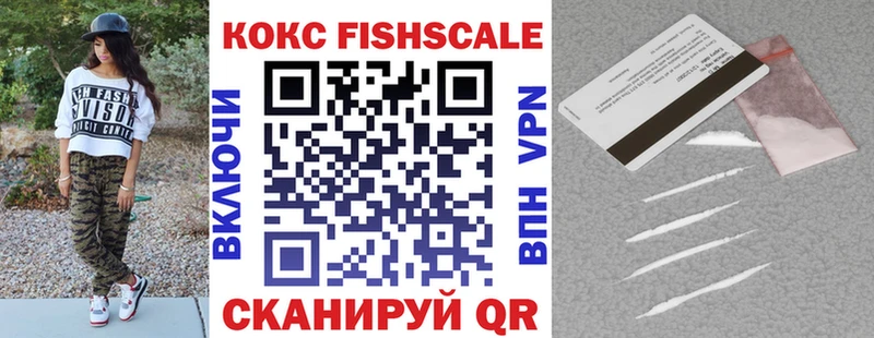 Купить закладки Горно-Алтайск Cocaine Fish Scale