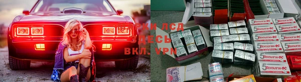 Альфа ПВП Каменка