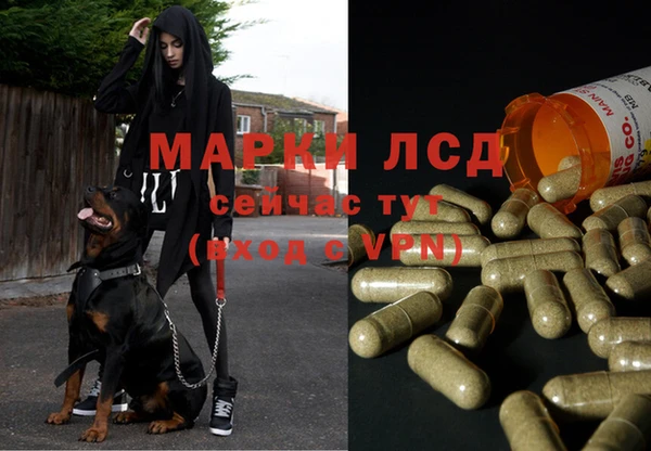 ECSTASY Каменногорск