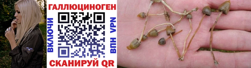 Купить Горно-Алтайск Псилоцибиновые грибы ЛСД
